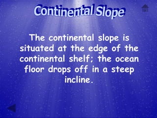 The continental slope is
situated at the edge of the
continental shelf; the ocean
 floor drops off in a steep
           incline.
 