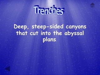 Deep, steep-sided canyons
 that cut into the abyssal
           plans.
 
