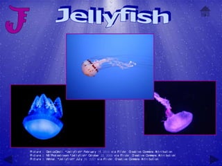 Pi ct ur e 1: G usD l , "Jel l yf i sh" Febr uar y 14, 2010 vi a Fl i ckr , C eat i ve C m
               eni     evi                                                        r         om ons At t r i but i on
Pi ct ur e 2: N Phot ost r eam "Jel l yf i sh" O ober 22, 2000 vi a Fl i ckr , C eat i ve C m
               B                ,                ct                                 r           om ons At t r i but i on
Pi ct ur e 3: Wohnai , "Jel l yf i sh" Jul y 28, 2007 vi a Fl i ckr , C eat i ve C m
                                                                       r          om ons At t r i but i on
 