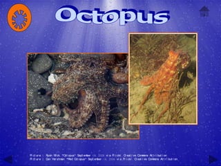 Pi ct ur e 1: Ryan W ck, "O opus" Sept em
                    i       ct           ber 18, 2008 vi a Fl i ckr , C eat i ve C m
                                                                       r          om ons At t r i but i on
Pi ct ur e 2: D H shm "R O opus" Sept em
               an er     an, ed ct               ber 16, 2006 vi a Fl i ckr , C eat i ve C m
                                                                                r         om ons At t r i but i on
 