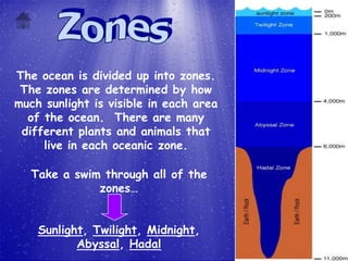 The ocean is divided up into zones.
 The zones are determined by how
much sunlight is visible in each area
  of the ocean. There are many
 different plants and animals that
     live in each oceanic zone.

   Take a swim through all of the
              zones…


    Sunlight, Twilight, Midnight,
           Abyssal, Hadal
 