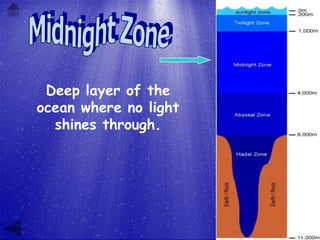 Deep layer of the
ocean where no light
  shines through.
 
