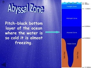 Pitch-black bottom
layer of the ocean
where the water is
so cold it is almost
     freezing.
 