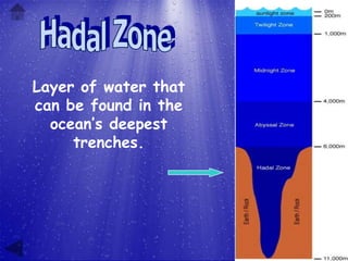 Layer of water that
can be found in the
  ocean’s deepest
     trenches.
 