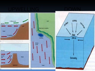 UPWELLING  DOWN  WELLING  