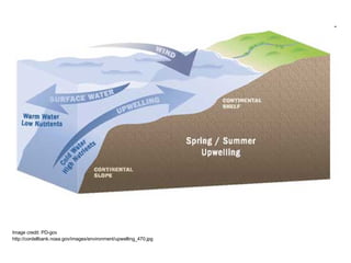 Image credit: PD-gov http://cordellbank.noaa.gov/images/environment/upwelling_470.jpg 