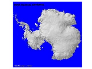 OCEÀ GLACIAL ANTÀRTIC 