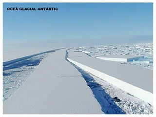 OCEÀ GLACIAL ANTÀRTIC 