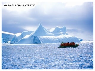 OCEÀ GLACIAL ANTÀRTIC 