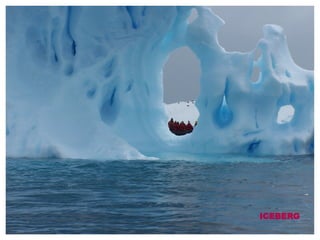 ICEBERG 