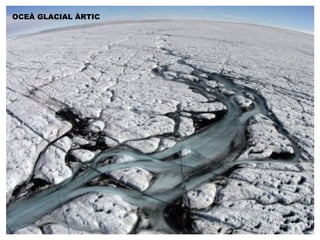 OCEÀ GLACIAL ÀRTIC 