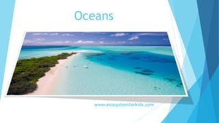 Oceans
www.ecosystemforkids.com
 