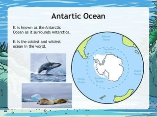 Antartic Ocean
It is known as the Antarctic
Ocean as it surrounds Antarctica.
It is the coldest and wildest
ocean in the world.
 