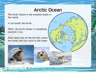 Arctic Ocean
The Arctic Ocean is the smallest ocean in
the world.
It surrounds the Arctic.
Often, the Arctic Ocean is completely
covered in ice.
Polar bears live on the ice that covers
the ocean and can swim in the water.
 