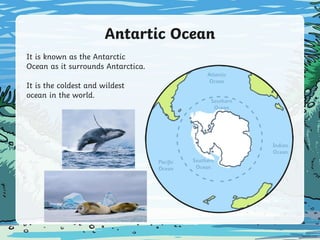 Antartic Ocean
It is known as the Antarctic
Ocean as it surrounds Antarctica.
It is the coldest and wildest
ocean in the world.
 