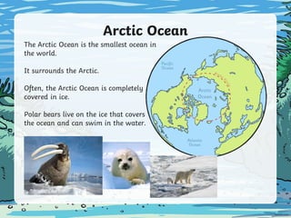 Arctic Ocean
The Arctic Ocean is the smallest ocean in
the world.
It surrounds the Arctic.
Often, the Arctic Ocean is completely
covered in ice.
Polar bears live on the ice that covers
the ocean and can swim in the water.
 