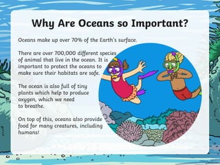 Why Are Oceans so Important?
Oceans make up over 70% of the Earth’s surface.
There are over 700,000 different species
of animal that live in the ocean. It is
important to protect the oceans to
make sure their habitats are safe.
The ocean is also full of tiny
plants which help to produce
oxygen, which we need
to breathe.
On top of this, oceans also provide
food for many creatures, including
humans!
 