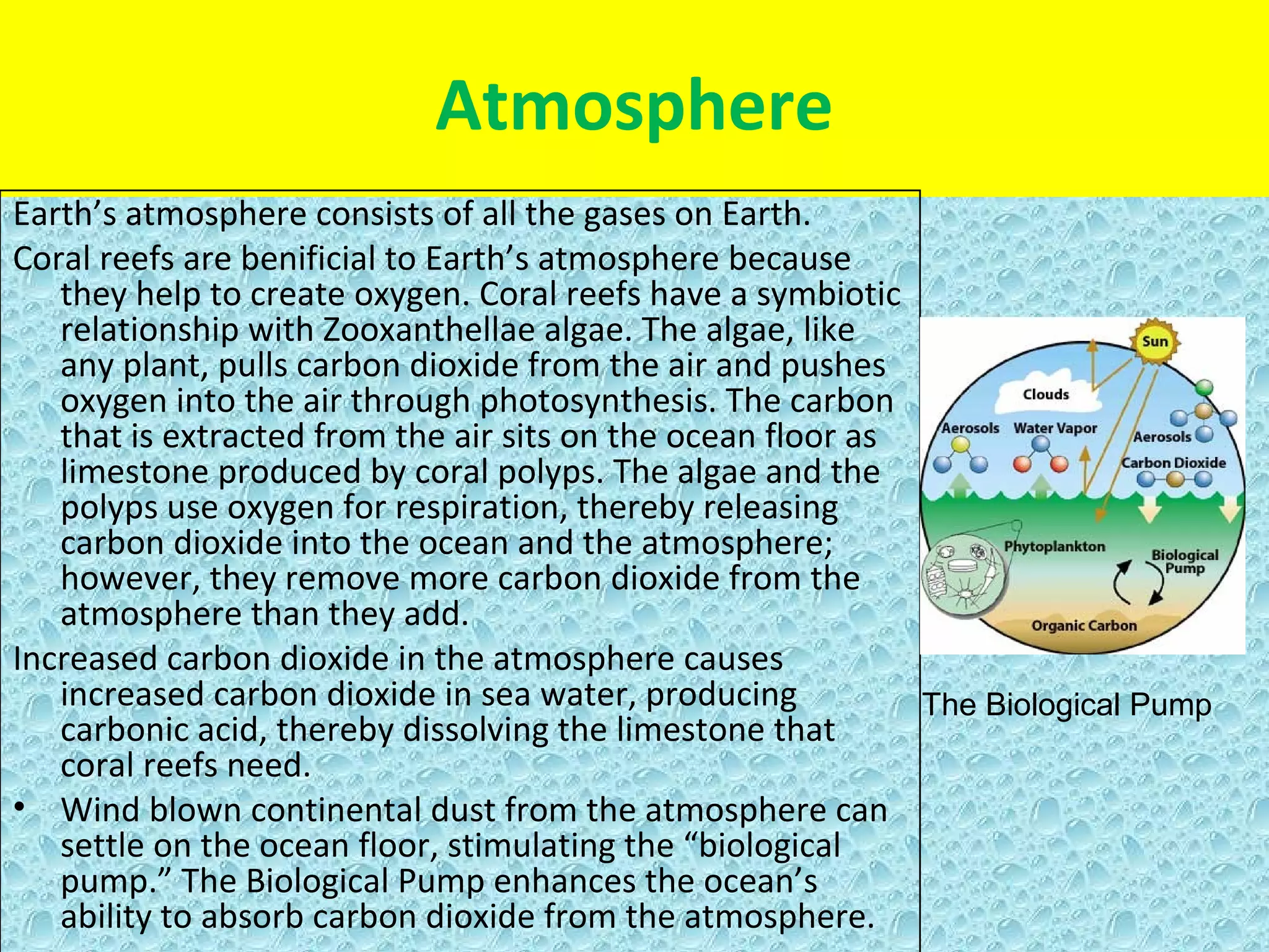Atmosphere
Earth’s atmosphere consists of all the gases on Earth.
Coral reefs are benificial to Earth’s atmosphere because
   they help to create oxygen. Coral reefs have a symbiotic
   relationship with Zooxanthellae algae. The algae, like
   any plant, pulls carbon dioxide from the air and pushes
   oxygen into the air through photosynthesis. The carbon
   that is extracted from the air sits on the ocean floor as
   limestone produced by coral polyps. The algae and the
   polyps use oxygen for respiration, thereby releasing
   carbon dioxide into the ocean and the atmosphere;
   however, they remove more carbon dioxide from the
   atmosphere than they add.
Increased carbon dioxide in the atmosphere causes
   increased carbon dioxide in sea water, producing          The Biological Pump
   carbonic acid, thereby dissolving the limestone that
   coral reefs need.
• Wind blown continental dust from the atmosphere can
   settle on the ocean floor, stimulating the “biological
   pump.” The Biological Pump enhances the ocean’s
   ability to absorb carbon dioxide from the atmosphere.
 
