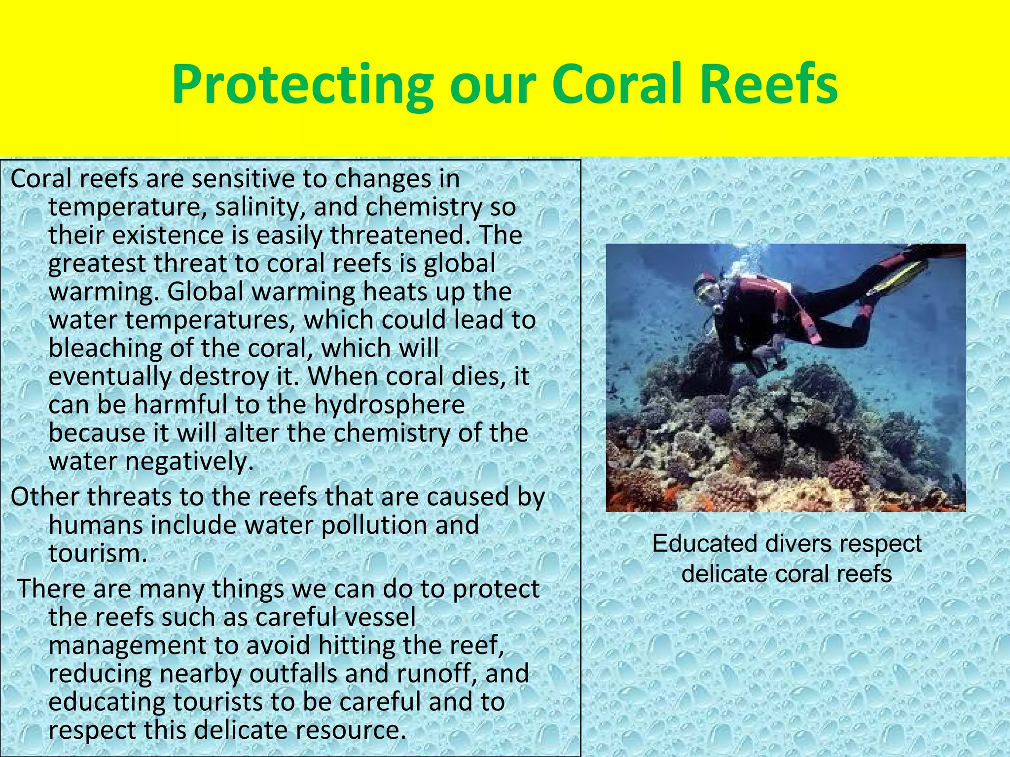 Protecting our Coral Reefs
Coral reefs are sensitive to changes in
   temperature, salinity, and chemistry so
   their existence is easily threatened. The
   greatest threat to coral reefs is global
   warming. Global warming heats up the
   water temperatures, which could lead to
   bleaching of the coral, which will
   eventually destroy it. When coral dies, it
   can be harmful to the hydrosphere
   because it will alter the chemistry of the
   water negatively.
Other threats to the reefs that are caused by
   humans include water pollution and
   tourism.                                     Educated divers respect
                                                  delicate coral reefs
There are many things we can do to protect
   the reefs such as careful vessel
   management to avoid hitting the reef,
   reducing nearby outfalls and runoff, and
   educating tourists to be careful and to
   respect this delicate resource.
 