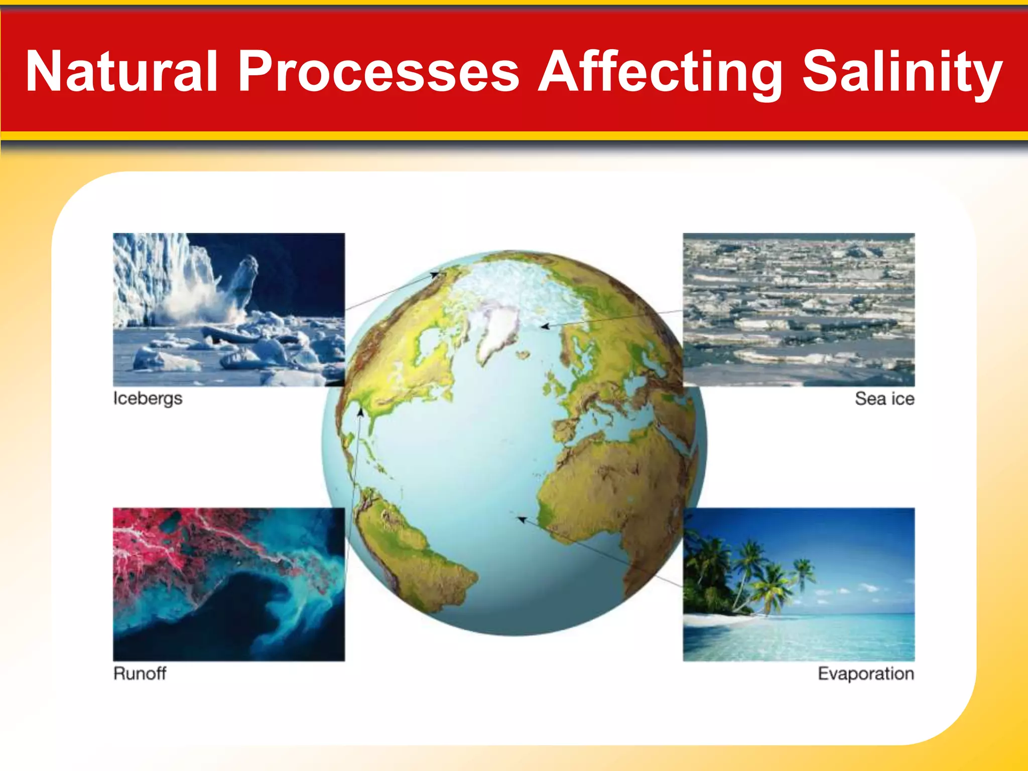 15.1 The Composition of Seawater

   Salinity
     Processes Affecting Salinity
      • Processes that decrease salinity:
        - Precipitation
        - Sea ice melting
        - Icebergs melting
        - Runoff from land
      • Processes that increase salinity:
        - Evaporation
        - Formation of sea ice
 