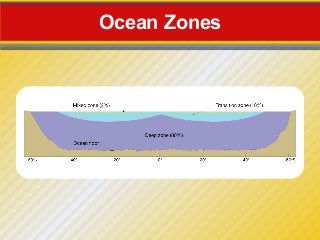 Ocean Zones
 