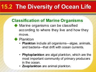 15.2 The Diversity of Ocean Life

   Classification of Marine Organisms
     Marine organisms can be classified
      according to where they live and how they
      move.
     Plankton
      • Plankton include all organisms—algae, animals,
        and bacteria—that drift with ocean currents.

      • Phytoplankton are algal plankton, which are the
        most important community of primary producers
        in the ocean.
      • Zooplankton are animal plankton.
 