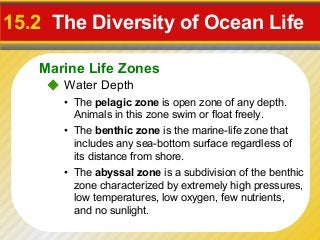 15.2 The Diversity of Ocean Life

   Marine Life Zones
     Water Depth
      • The pelagic zone is open zone of any depth.
        Animals in this zone swim or float freely.
      • The benthic zone is the marine-life zone that
        includes any sea-bottom surface regardless of
        its distance from shore.
      • The abyssal zone is a subdivision of the benthic
        zone characterized by extremely high pressures,
        low temperatures, low oxygen, few nutrients,
        and no sunlight.
 