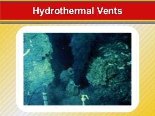 Hydrothermal Vents
 