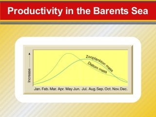 Productivity in the Barents Sea
 