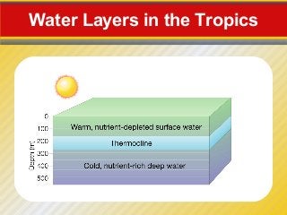 Water Layers in the Tropics
 