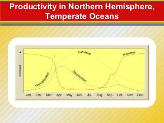 Productivity in Northern Hemisphere,
         Temperate Oceans
 