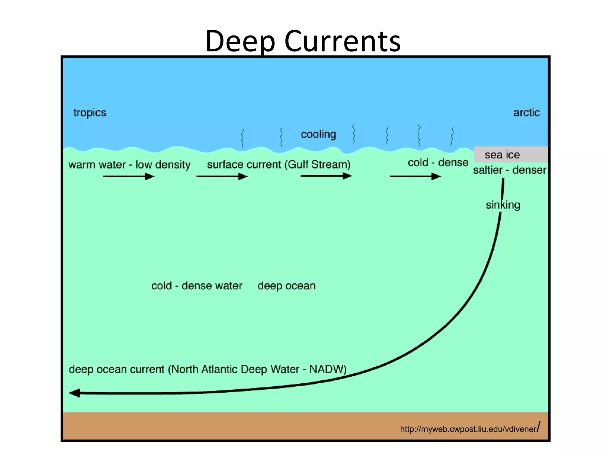 Deep Currents
http://myweb.cwpost.liu.edu/vdivener/
 