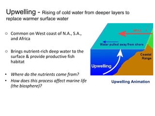 o Common on West coast of N.A., S.A.,
and Africa
o Brings nutrient-rich deep water to the
surface & provide productive fish
habitat
• Where do the nutrients come from?
• How does this process affect marine life
(the biosphere)?
Upwelling - Rising of cold water from deeper layers to
replace warmer surface water
Upwelling Animation
 