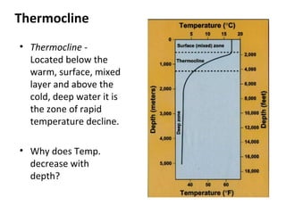 Thermocline
• Thermocline -
Located below the
warm, surface, mixed
layer and above the
cold, deep water it is
the zone of rapid
temperature decline.
• Why does Temp.
decrease with
depth?
 