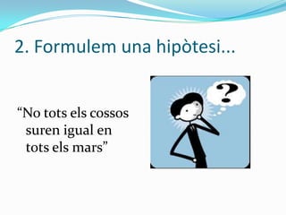 2. Formulem una hipòtesi...
“No tots els cossos
suren igual en
tots els mars”

 
