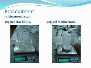 Procediment:
1r. Mesurem la sal:
10g pel Mar Bàltic,

40g pel Mediterrani,

 