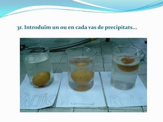 3r. Introduïm un ou en cada vas de precipitats...

 