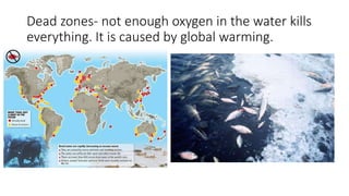 Dead zones- not enough oxygen in the water kills
everything. It is caused by global warming.
 
