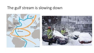 The gulf stream is slowing down
 