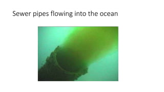 Sewer pipes flowing into the ocean
 