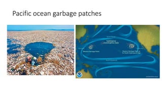 Pacific ocean garbage patches
 