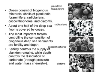 Ocean sediments | PPT