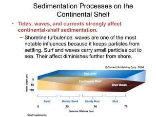 Sedimentation Processes on the
               Continental Shelf
• Tides, waves, and currents strongly affect
  continental...