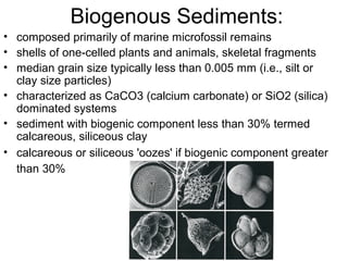 planktonic
                                   foraminifera
• Oozes consist of biogenous
  minterals: shells of planktonic
...