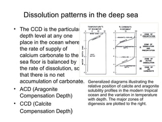 Figure 5-17


              Calcium Carbonate in the ocean
 