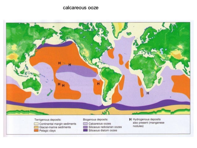 ocean sediments 29 638 jpg cb 1353390077 ocean sediments