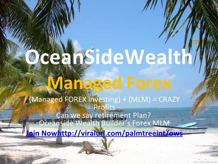 Rich forex investors
