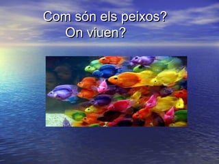 Com són els peixos?Com són els peixos?
On viuen?On viuen?
 