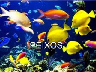 PEIXOSPEIXOS
 