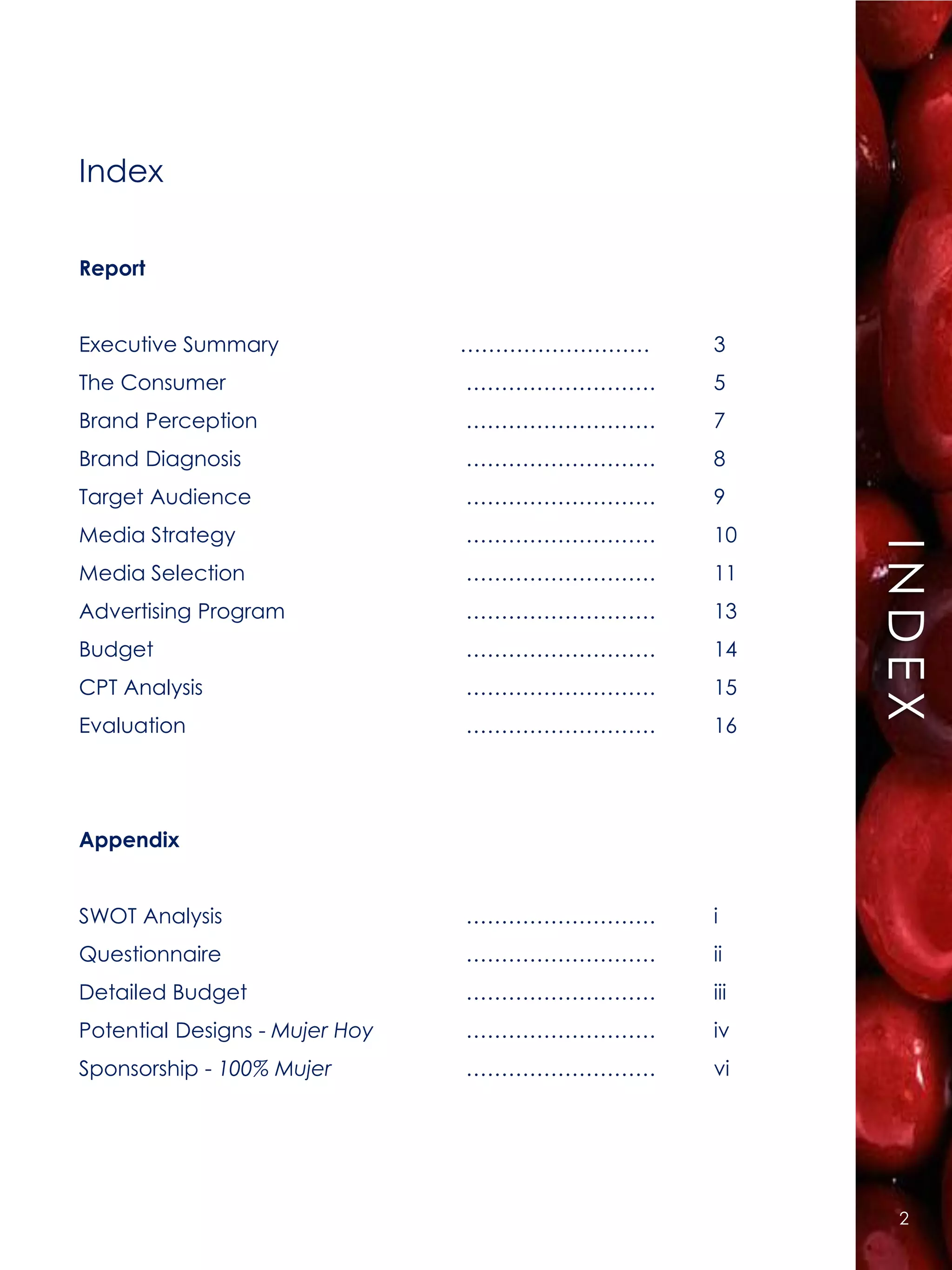 Index

Report


Executive Summary               ………………………   3
The Consumer                    ………………………   5
Brand Perception                ………………………   7
Brand Diagnosis                 ………………………   8
Target Audience                 ………………………   9




                                                  Í NN DIE X E
Media Strategy                  ………………………   10




                                                     I D C
Media Selection                 ………………………   11
Advertising Program             ………………………   13
Budget                          ………………………   14
CPT Analysis                    ………………………   15
Evaluation                      ………………………   16




Appendix


SWOT Analysis                   ………………………   i
Questionnaire                   ………………………   ii
Detailed Budget                 ………………………   iii
Potential Designs - Mujer Hoy   ………………………   iv
Sponsorship - 100% Mujer        ………………………   vi




                                                      2
 